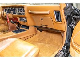 1979 Pontiac Firebird Trans Am (CC-2096757) for sale in Elkhart Lake, Wisconsin