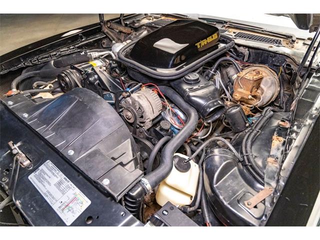 1979 Pontiac Firebird Trans Am (CC-2096757) for sale in Elkhart Lake, Wisconsin