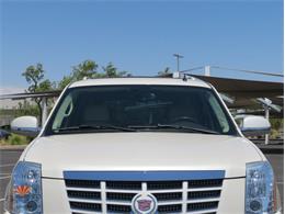 2008 Cadillac Escalade (CC-2096758) for sale in Mesa, Arizona
