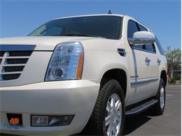 2008 Cadillac Escalade (CC-2096758) for sale in Mesa, Arizona