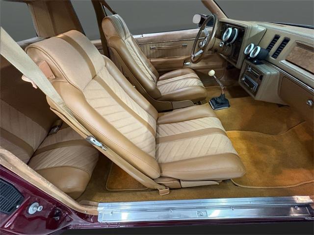 1979 Buick Regal (CC-2096771) for sale in Nashville, Illinois
