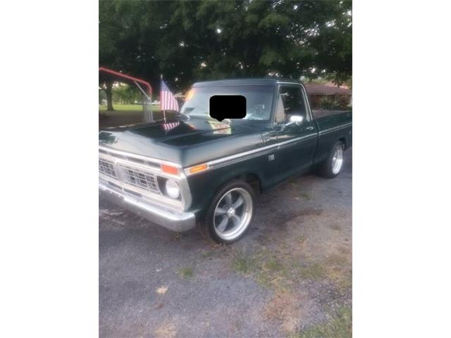 1976 Ford F100 (CC-2090678) for sale in Cadillac, Michigan