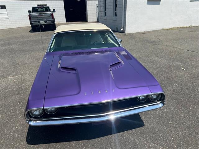 1970 Dodge Challenger (CC-2096787) for sale in Springfield, Massachusetts