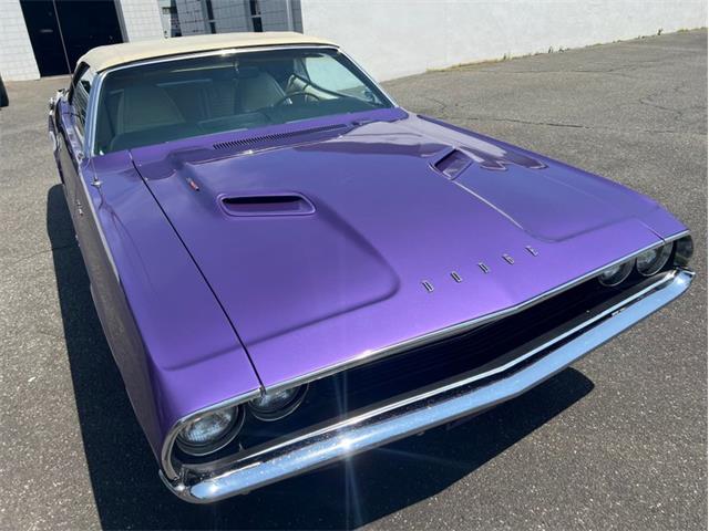 1970 Dodge Challenger (CC-2096787) for sale in Springfield, Massachusetts