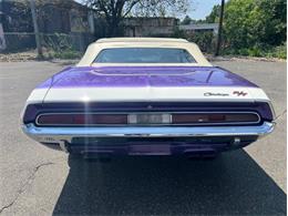 1970 Dodge Challenger (CC-2096787) for sale in Springfield, Massachusetts