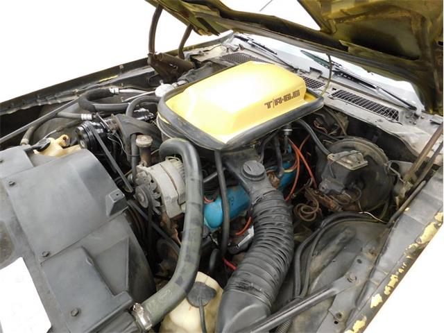 1979 Pontiac Firebird Trans Am (CC-2096792) for sale in Fenton, Missouri