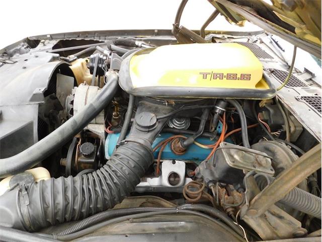 1979 Pontiac Firebird Trans Am (CC-2096792) for sale in Fenton, Missouri
