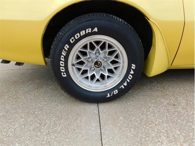 1979 Pontiac Firebird Trans Am (CC-2096792) for sale in Fenton, Missouri