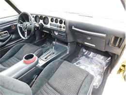 1979 Pontiac Firebird Trans Am (CC-2096792) for sale in Fenton, Missouri