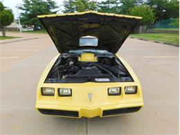 1979 Pontiac Firebird Trans Am (CC-2096792) for sale in Fenton, Missouri