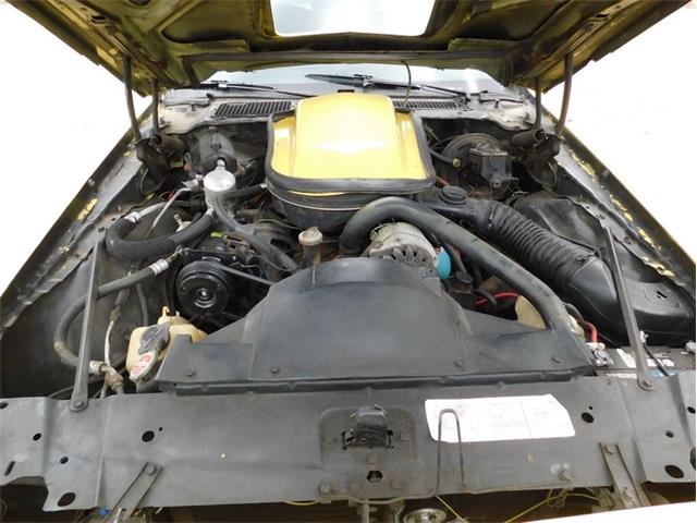 1979 Pontiac Firebird Trans Am (CC-2096792) for sale in Fenton, Missouri