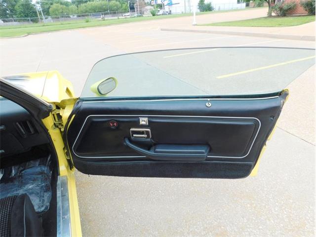 1979 Pontiac Firebird Trans Am (CC-2096792) for sale in Fenton, Missouri
