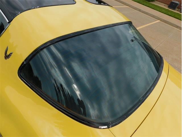 1979 Pontiac Firebird Trans Am (CC-2096792) for sale in Fenton, Missouri
