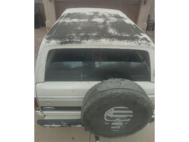 1979 Ford Bronco (CC-2090680) for sale in Cadillac, Michigan