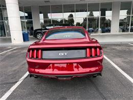2017 Ford Mustang (CC-2096803) for sale in Downers Grove, Illinois