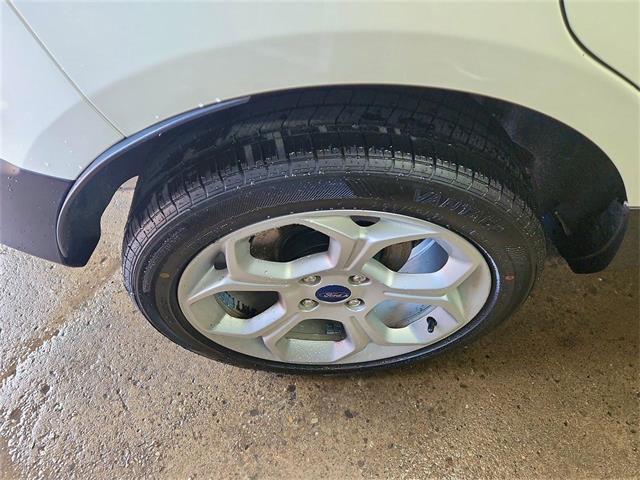 2021 Ford EcoSport (CC-2096819) for sale in Buffalo, New York