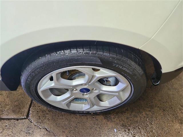 2021 Ford EcoSport (CC-2096819) for sale in Buffalo, New York