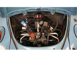 1962 Volkswagen Beetle (CC-2096821) for sale in Stratford, Ontario