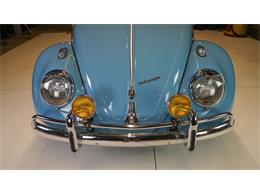 1962 Volkswagen Beetle (CC-2096821) for sale in Stratford, Ontario