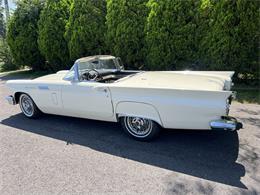 1957 Ford Thunderbird (CC-2096847) for sale in Sandusky , Ohio