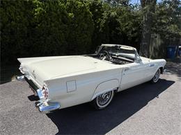 1957 Ford Thunderbird (CC-2096847) for sale in Sandusky , Ohio