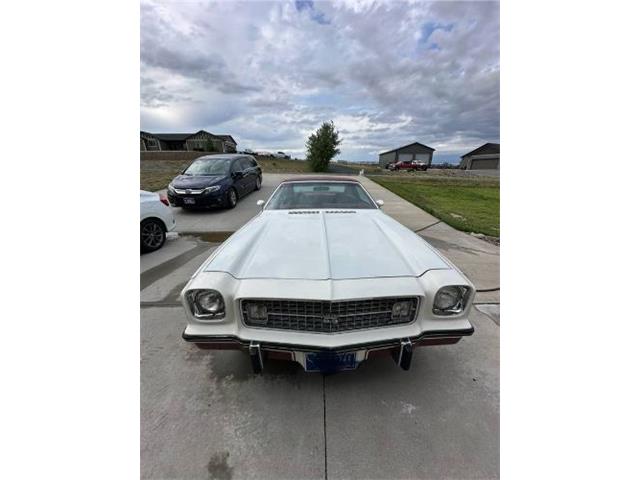 1974 Chevrolet Chevelle (CC-2090685) for sale in Cadillac, Michigan