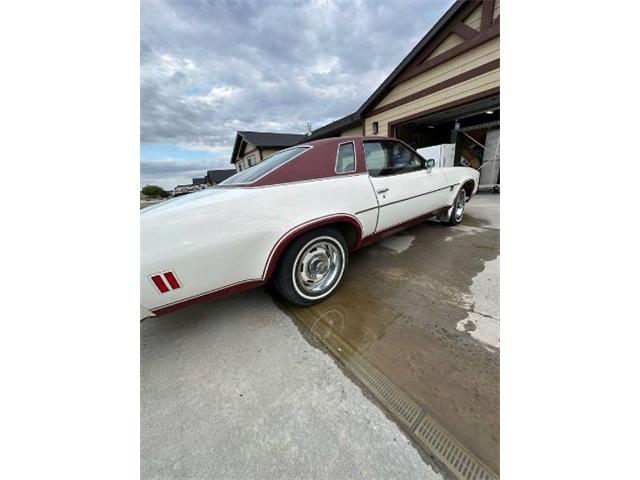 1974 Chevrolet Chevelle (CC-2090685) for sale in Cadillac, Michigan
