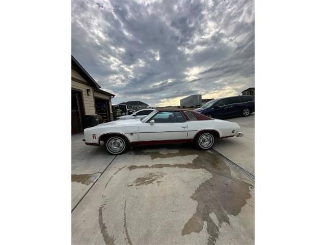 1974 Chevrolet Chevelle (CC-2090685) for sale in Cadillac, Michigan
