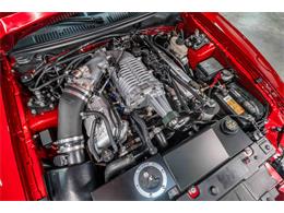 2003 Ford Cobra (CC-2096857) for sale in Sherman, Texas