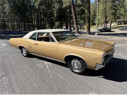1967 Pontiac LeMans (CC-2096864) for sale in Grass Valley, California
