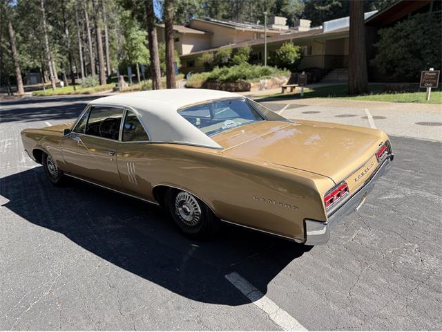 1967 Pontiac LeMans (CC-2096864) for sale in Grass Valley, California