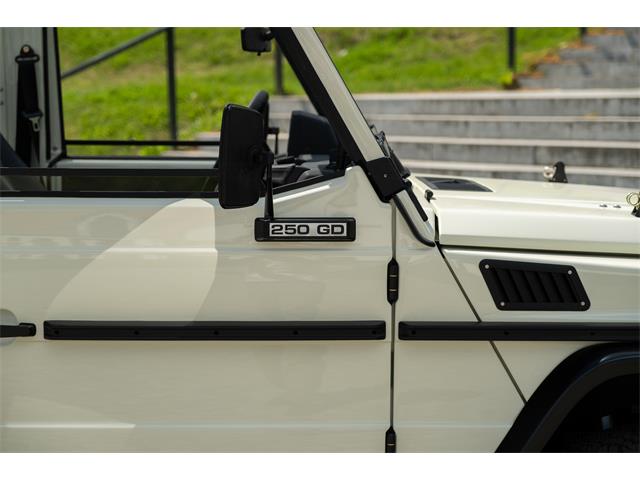 1993 Mercedes-Benz G-Class (CC-2096869) for sale in Frenchtown, New Jersey
