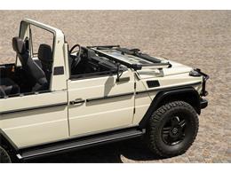 1993 Mercedes-Benz G-Class (CC-2096869) for sale in Frenchtown, New Jersey