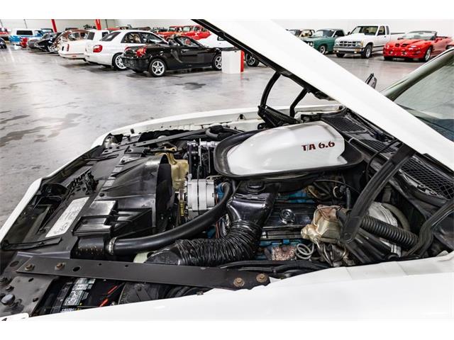 1976 Pontiac Firebird Trans Am (CC-2096891) for sale in Kentwood, Michigan