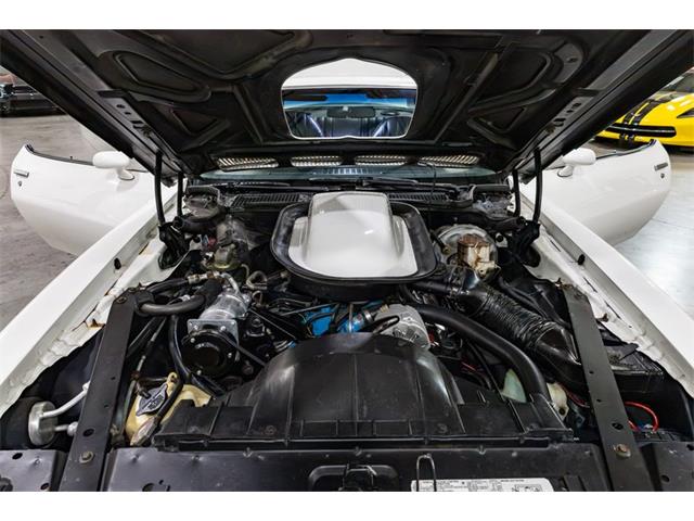 1976 Pontiac Firebird Trans Am (CC-2096891) for sale in Kentwood, Michigan
