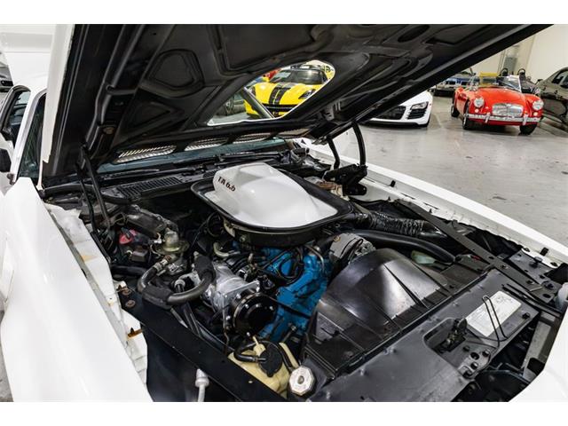 1976 Pontiac Firebird Trans Am (CC-2096891) for sale in Kentwood, Michigan