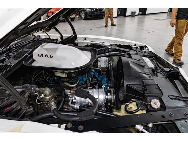 1976 Pontiac Firebird Trans Am (CC-2096891) for sale in Kentwood, Michigan