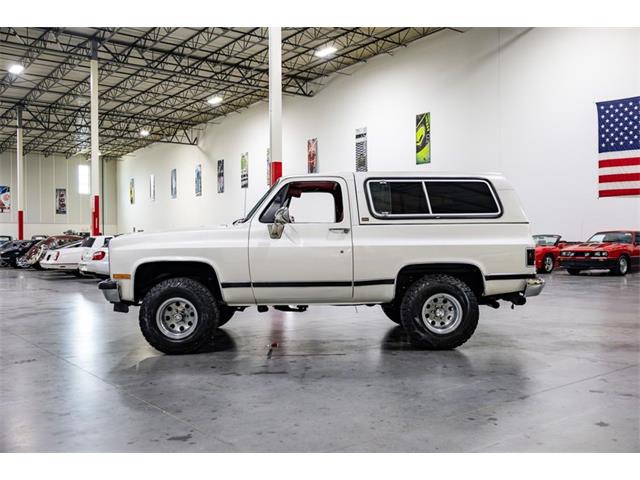 1990 Chevrolet Blazer (CC-2096893) for sale in Kentwood, Michigan