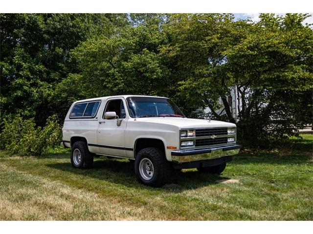 1990 Chevrolet Blazer (CC-2096893) for sale in Kentwood, Michigan