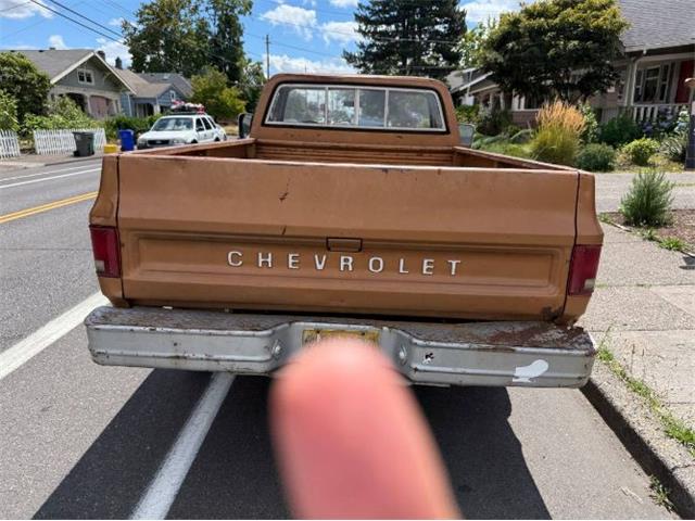 1966 Chevrolet C20 (CC-2096954) for sale in Cadillac, Michigan