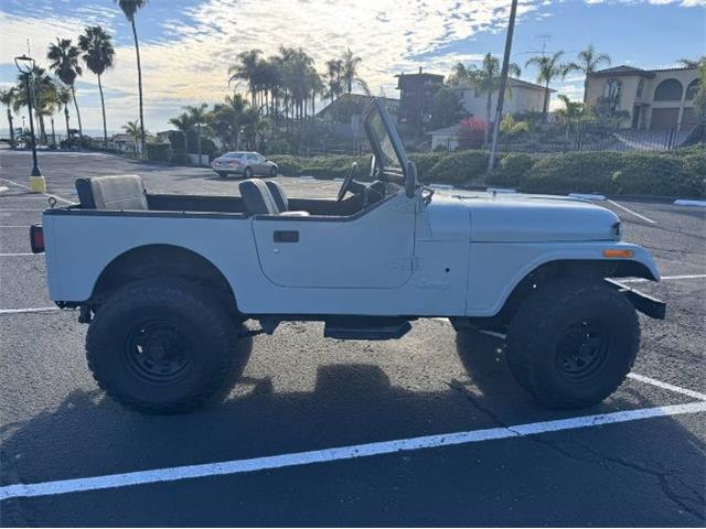 1984 Jeep CJ7 (CC-2090696) for sale in Cadillac, Michigan