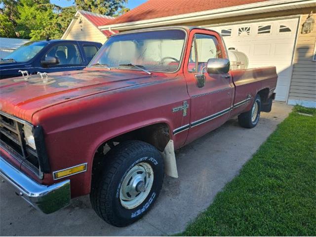 1981 Chevrolet K-10 (CC-2096965) for sale in Cadillac, Michigan