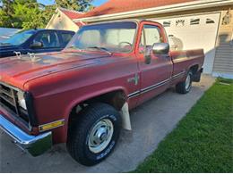 1981 Chevrolet K-10 (CC-2096965) for sale in Cadillac, Michigan