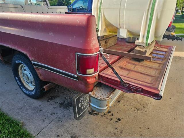 1981 Chevrolet K-10 (CC-2096965) for sale in Cadillac, Michigan