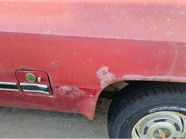 1981 Chevrolet K-10 (CC-2096965) for sale in Cadillac, Michigan