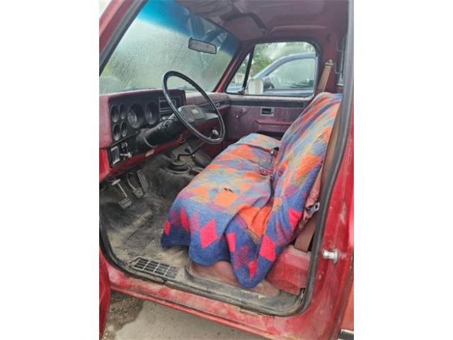 1981 Chevrolet K-10 (CC-2096965) for sale in Cadillac, Michigan