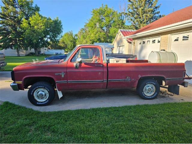 1981 Chevrolet K-10 (CC-2096965) for sale in Cadillac, Michigan