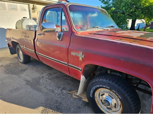 1981 Chevrolet K-10 (CC-2096965) for sale in Cadillac, Michigan