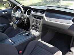 2012 Ford Mustang (CC-2096986) for sale in Palmetto, Florida