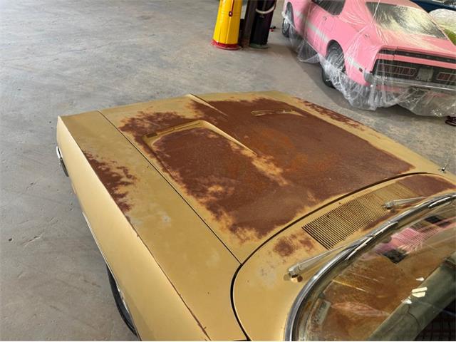1969 Dodge Charger (CC-2097034) for sale in Celeste, Texas